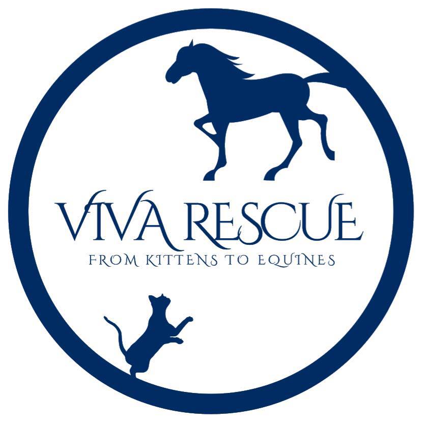 Viva Global Rescue